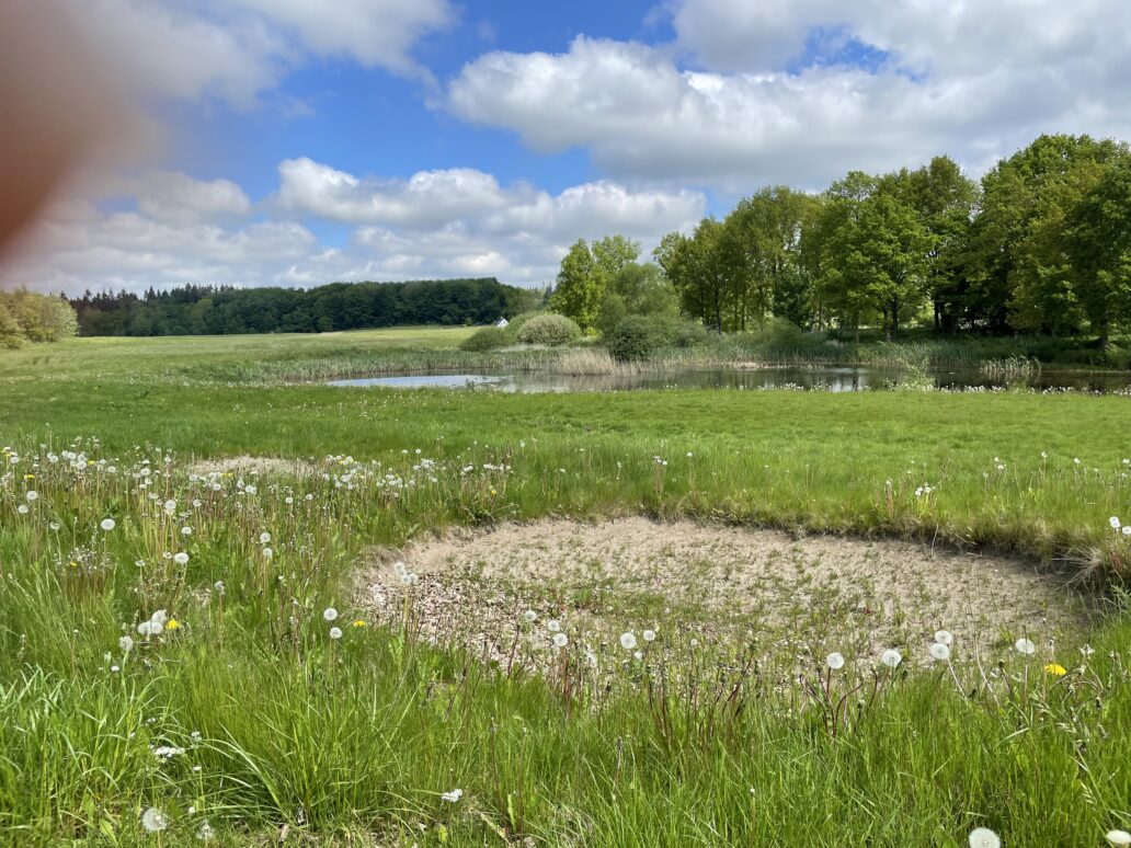 Grøn baggrund vandfald spole DE FORLADTE BANER - Golfbladet.com