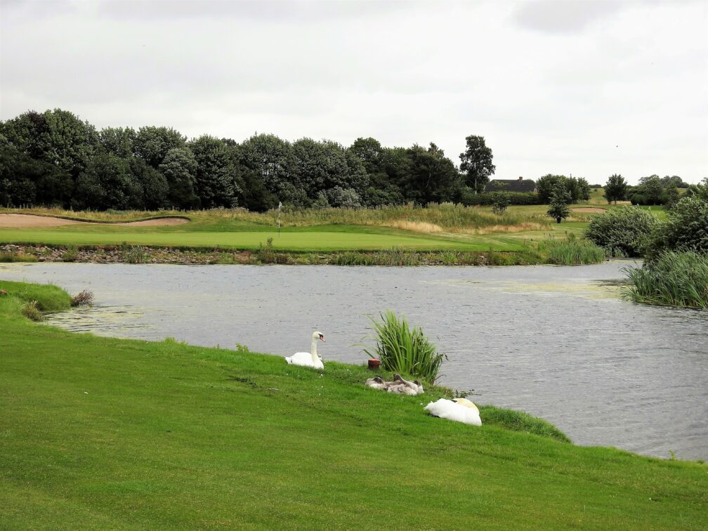 stadig fremragende ejerskifte - Golfbladet.com