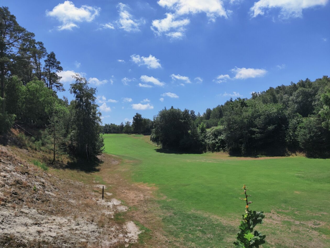 rysten Fem Rindende 50-års jubilar med tro på fremtiden - Golfbladet.com